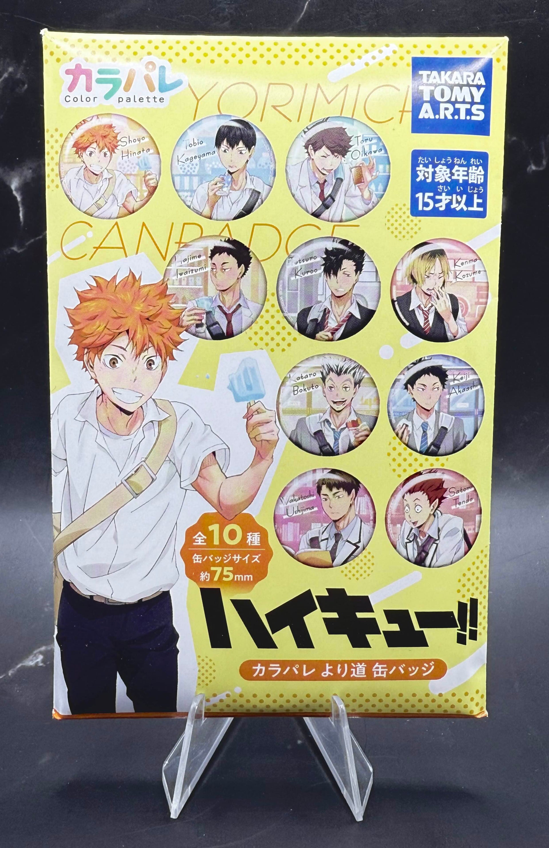 Anime Collection - Badge -  Haikyuu!! Yorimichi Color Palette