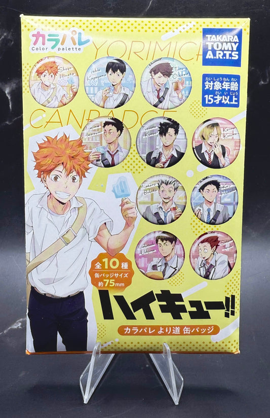 Anime Collection - Badge -  Haikyuu!! Yorimichi Color Palette